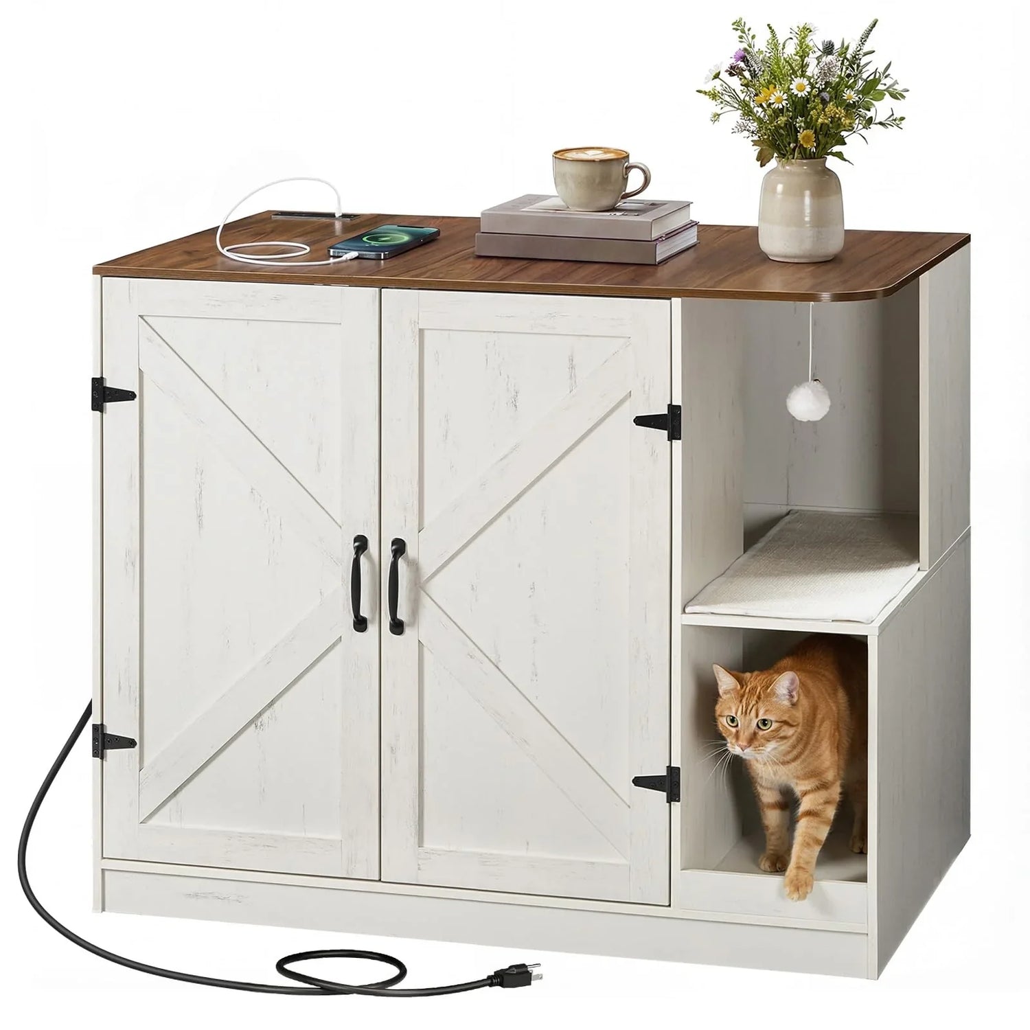 Automatic Litter Boxes