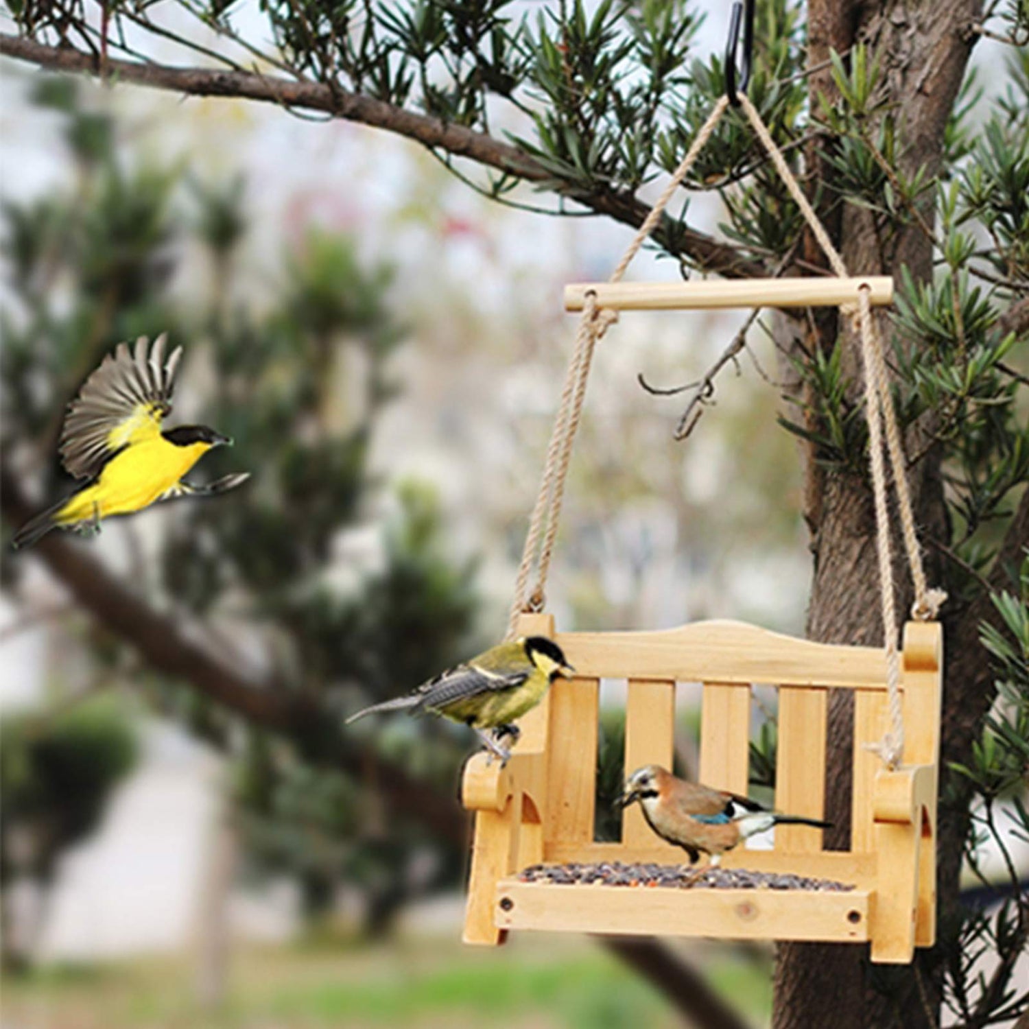 Bird Essentials