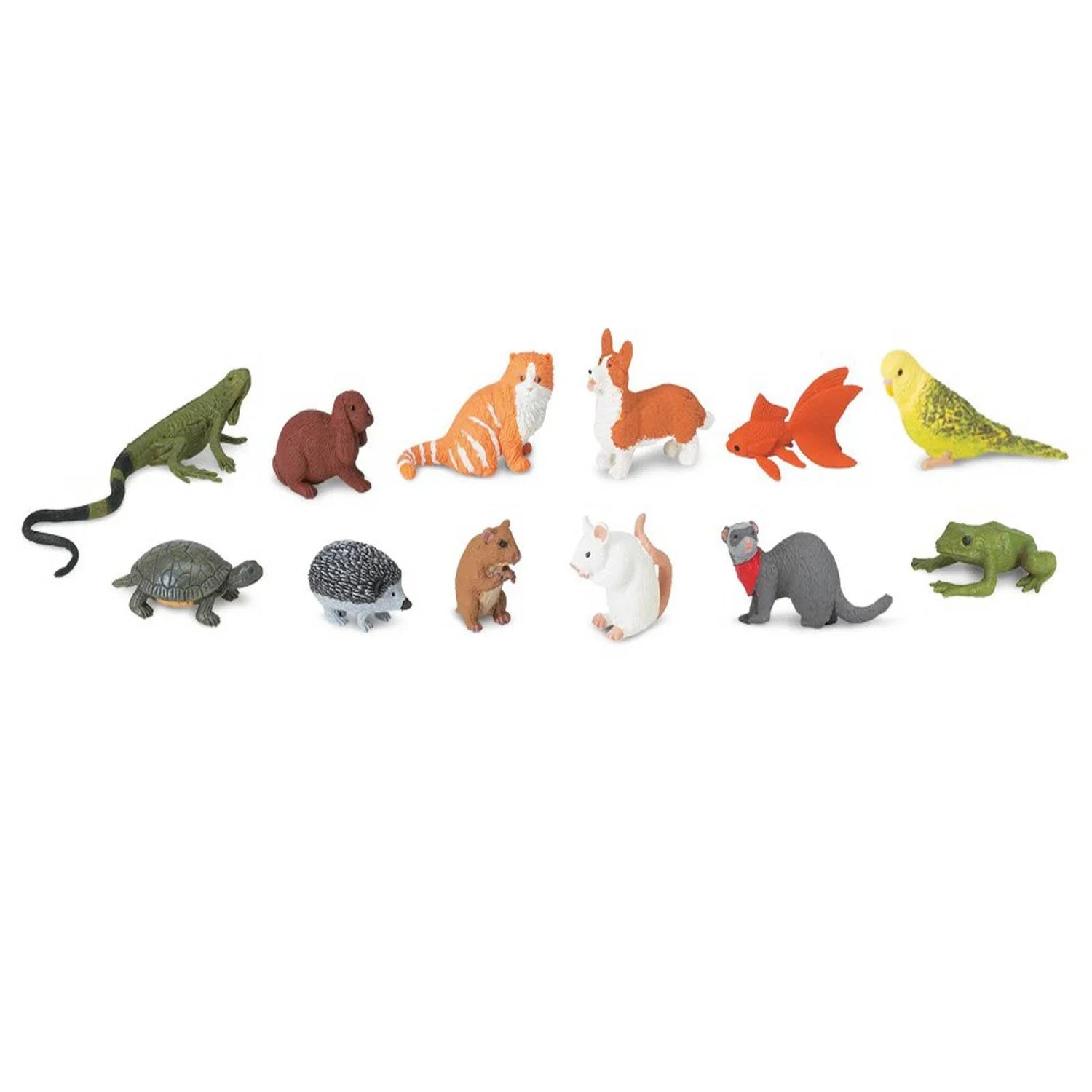 Miscellaneous Pets