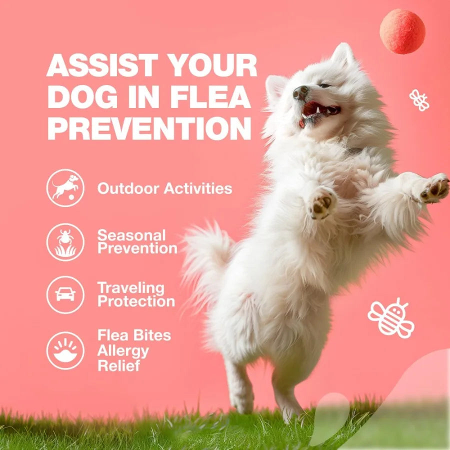 Dog Flea and Tick Treatment Chews FleaTick Prevention for Dogs Chewables Natural Dog Flea Tick Control Soft Treats Immune Suppo
