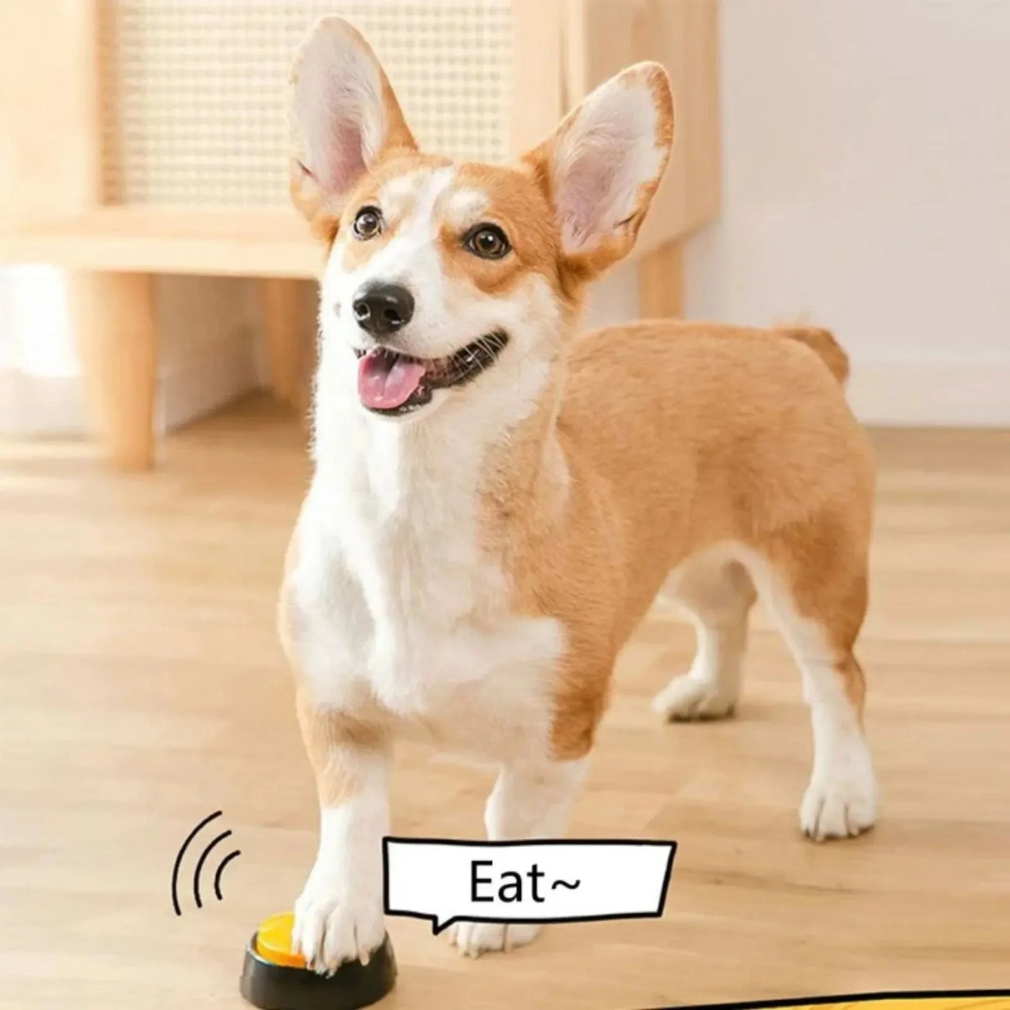 Dog Communication Buttons Voice Recording Button for Pet Training Buzzer  Record Playback Funny Gift for Talking Pet