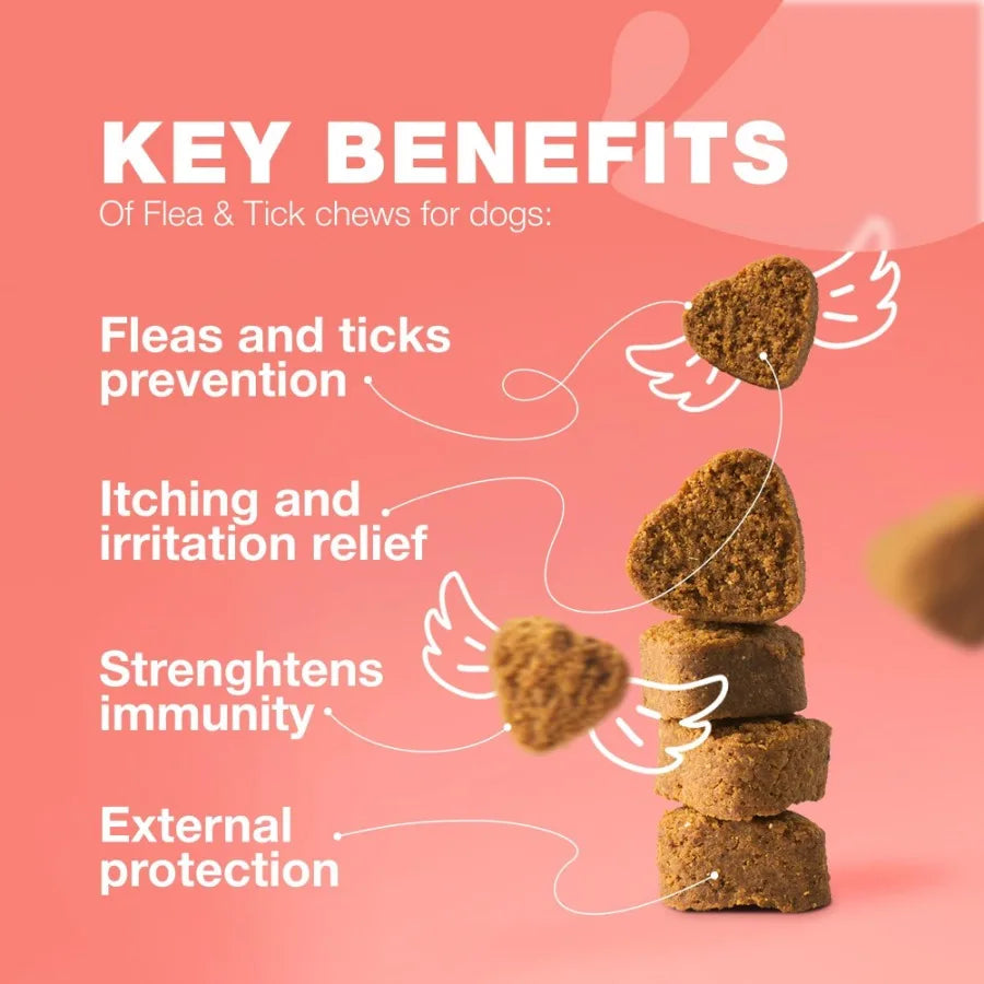 Dog Flea and Tick Treatment Chews FleaTick Prevention for Dogs Chewables Natural Dog Flea Tick Control Soft Treats Immune Suppo